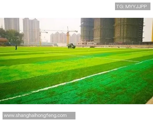 如何规划与建设一个标准足球场的详细指南与注意事项